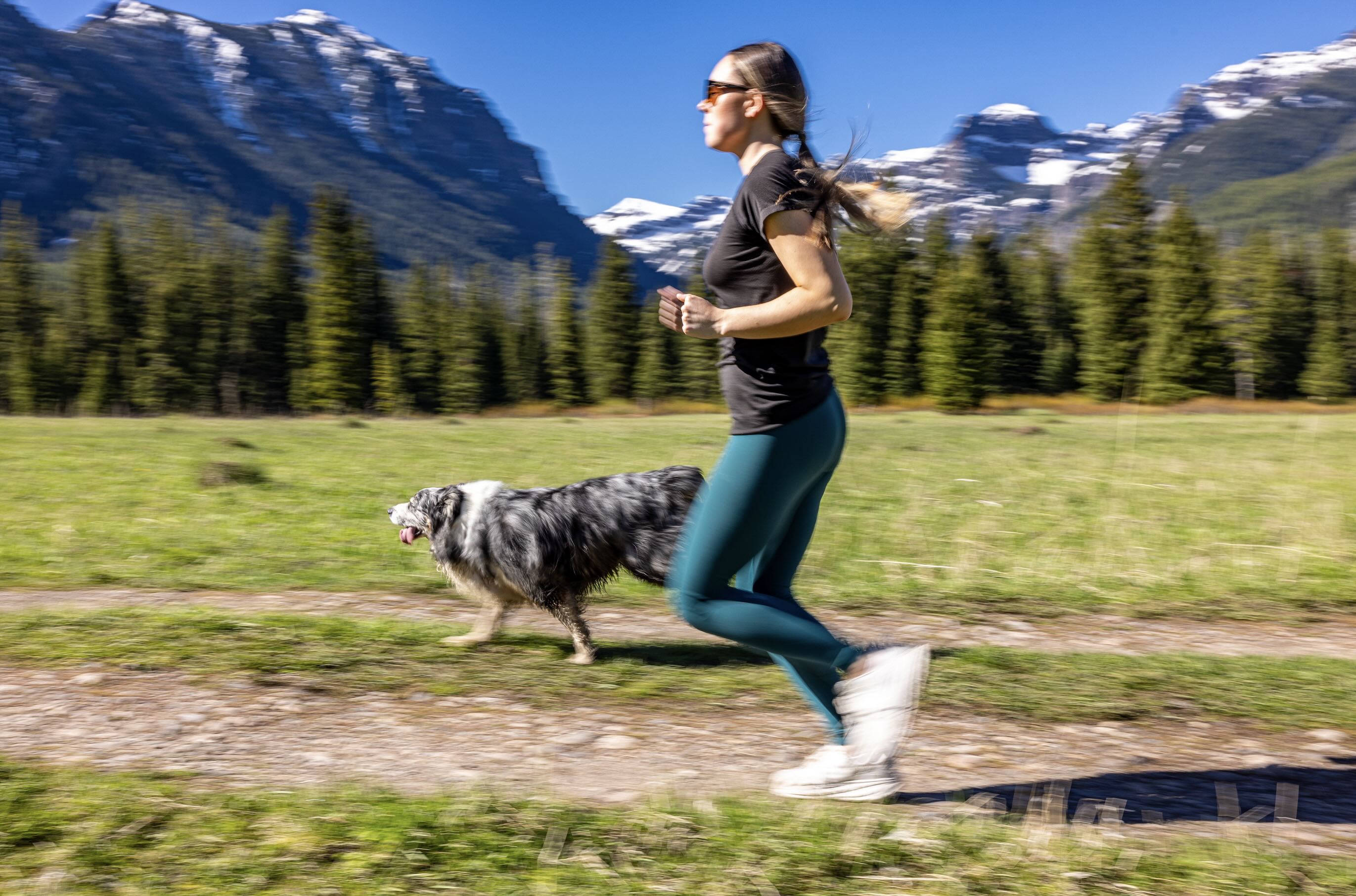 Tips to Save Money as a Pet Parent